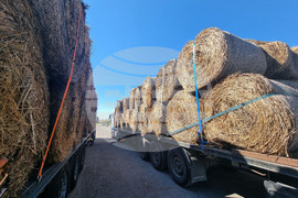 Село Слаковци - камиони със слама, сено и люцерна