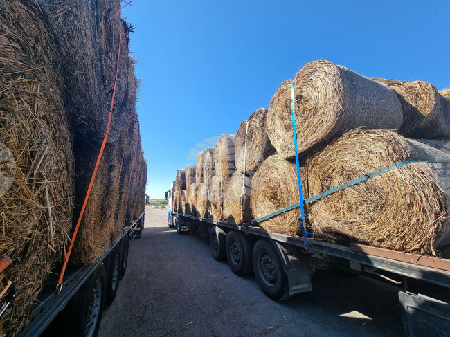 Село Слаковци - камиони със слама, сено и люцерна