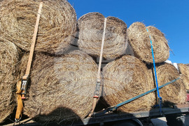 Село Слаковци - камиони със слама, сено и люцерна