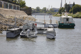 Русе - река Дунав - ниво