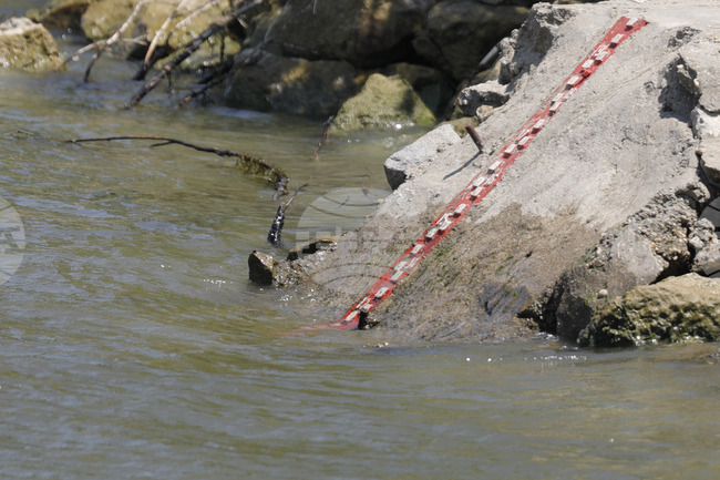 Русе - река Дунав - ниво