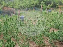 Снимка: Апелативна прокуратура – Пловдив