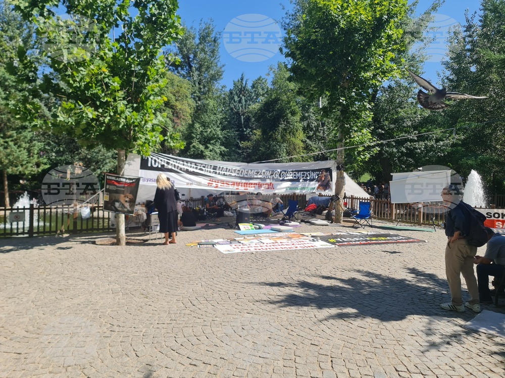 Турция - законопроект за бездомни кучета - протестиращи