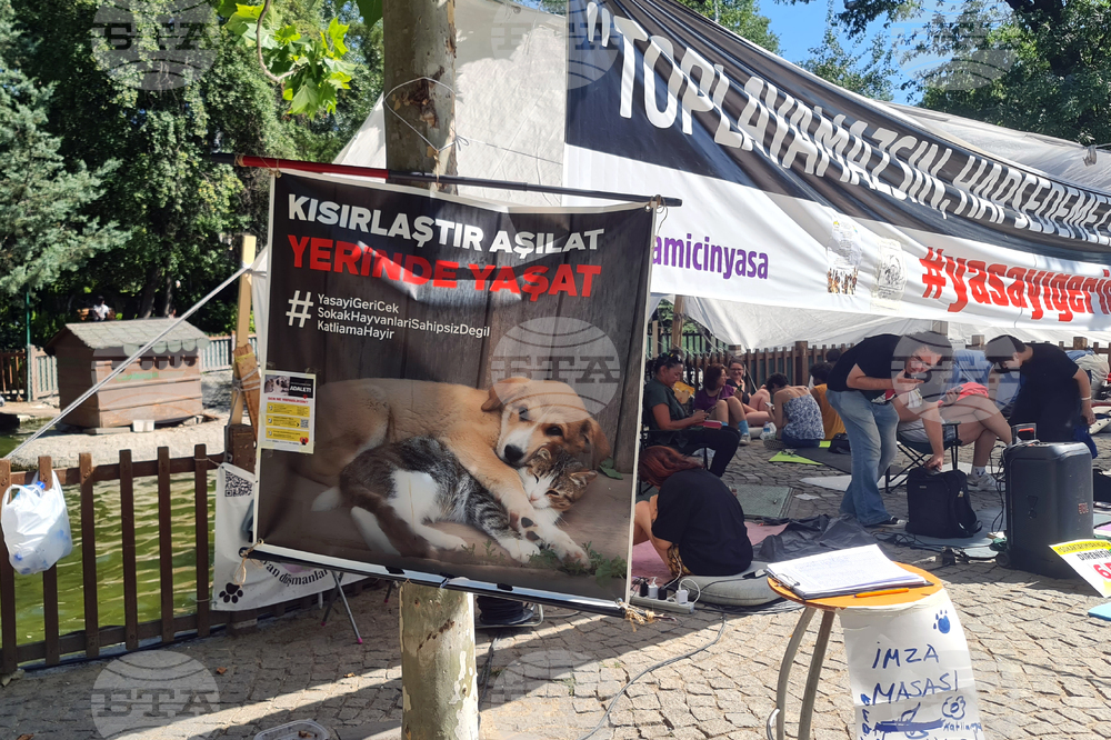 Турция - законопроект за бездомни кучета - протестиращи