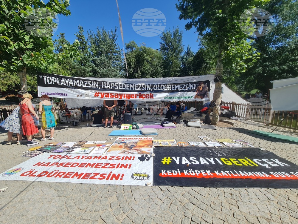 Турция - законопроект за бездомни кучета - протестиращи
