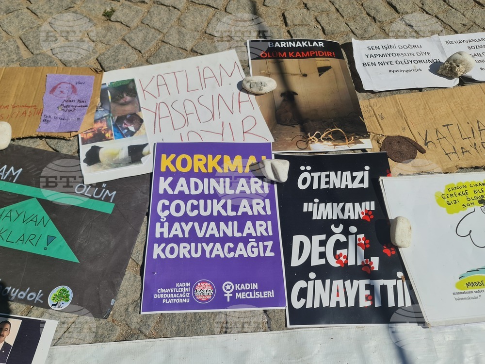 Турция - законопроект за бездомни кучета - протестиращи
