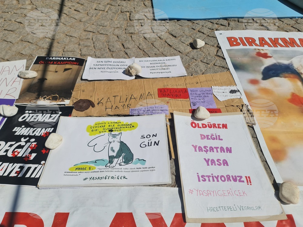 Турция - законопроект за бездомни кучета - протестиращи