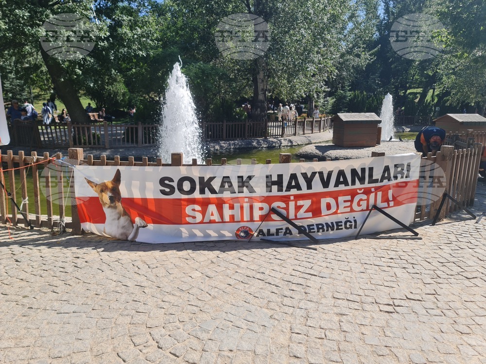 Турция - законопроект за бездомни кучета - протестиращи