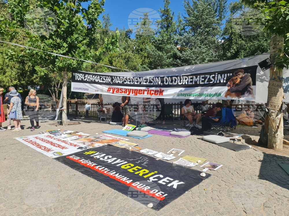 Турция - законопроект за бездомни кучета - протестиращи