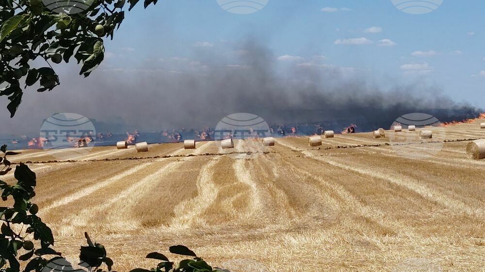 Четири пожара в Ямболско потушиха огнеборците през последното денонощие