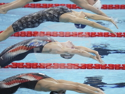 Paris Olympics Swimming