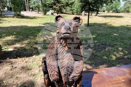 Самоков - Туристическа градина - пейки