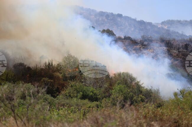 Пожарът, който пламна край санданското село Горно Спанчево, е обхванал гората над населеното място