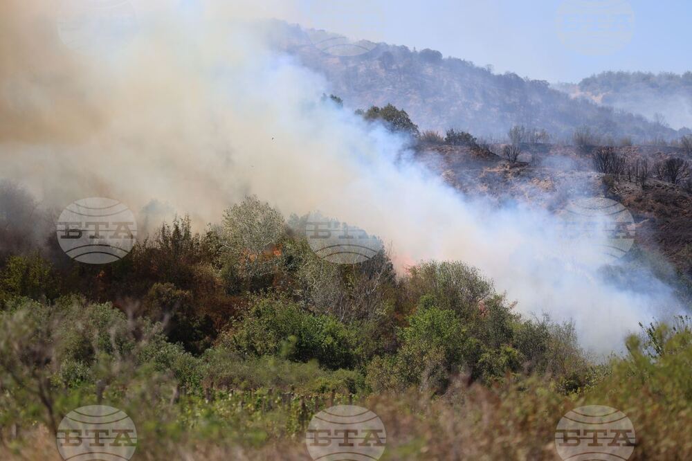 Село Микрево - пожар