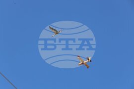 Село Микрево - пожар