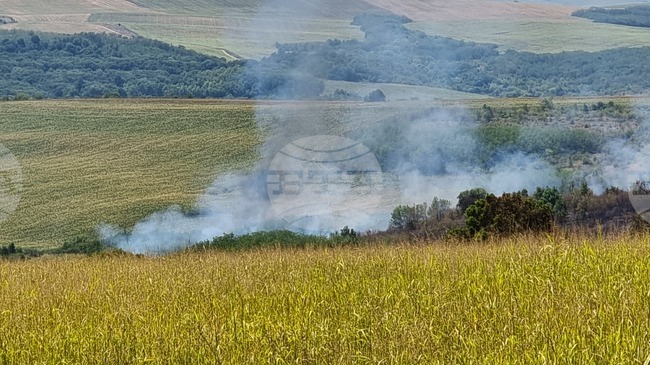 Противоградова ракета е причинила пожар в житен масив край село Иново