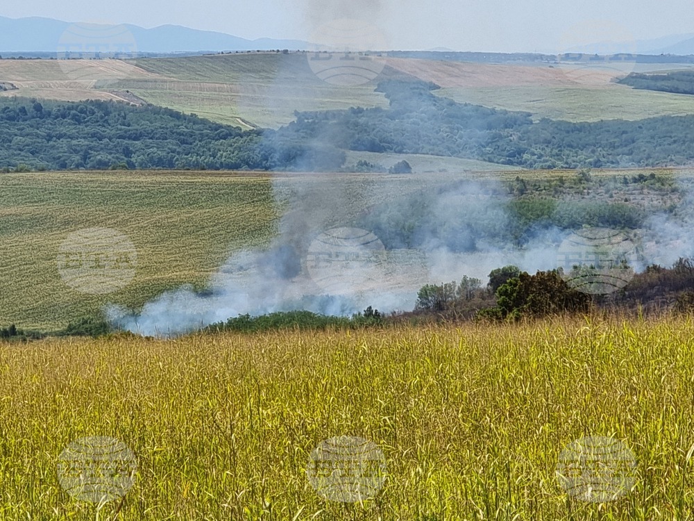 Общо 70 декара пшеница изгоряха в землището на село Покрайна