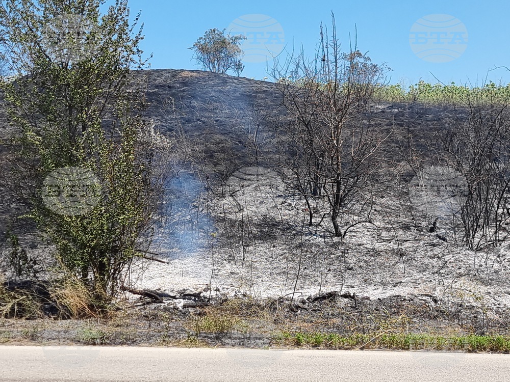 Село Калина - пожар