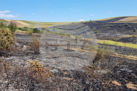 Село Калина - пожар