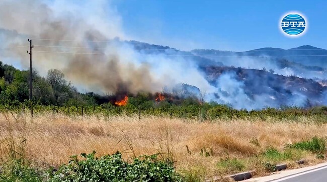 Пожарникари от редица служби в страната и самолети се включиха в гасенето на големия пожар край село Микрево