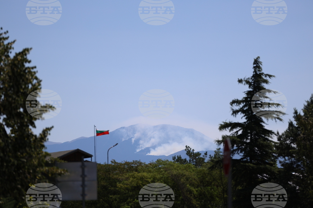 Славянка - пожар