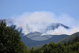 Славянка - пожар
