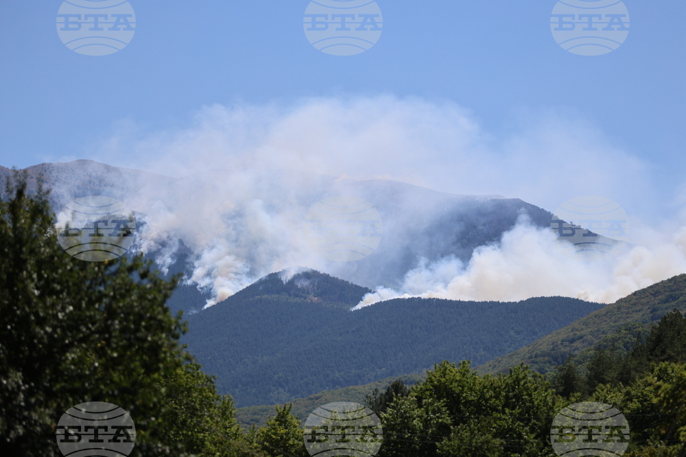 Славянка - пожар