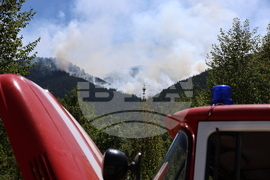 Славянка - пожар