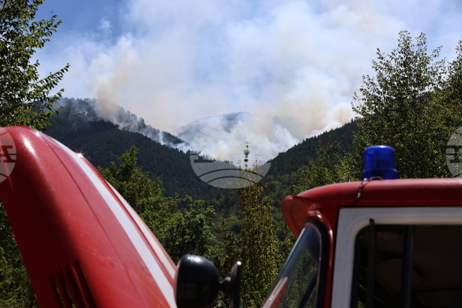 Около 500 декара горска площ е обхванал пожарът в района на санданското село Горно Спанчево