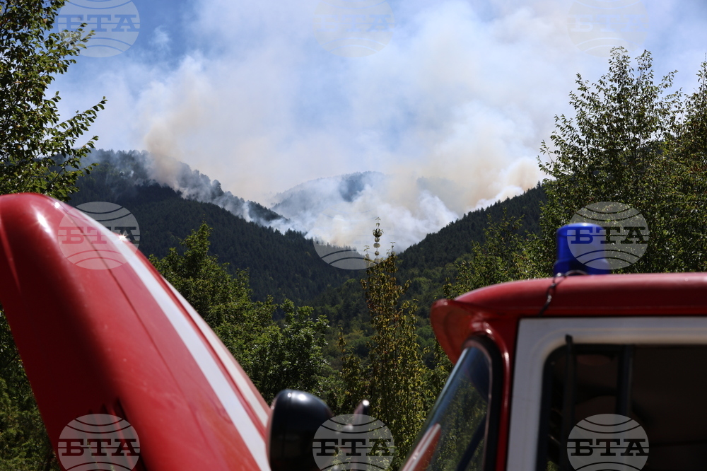 Славянка - пожар