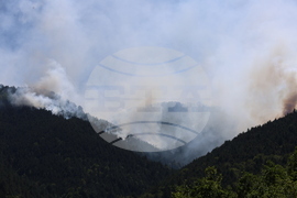 Славянка - пожар