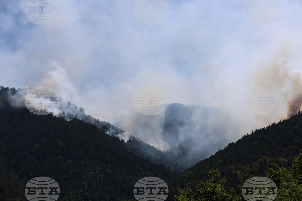 Славянка - пожар