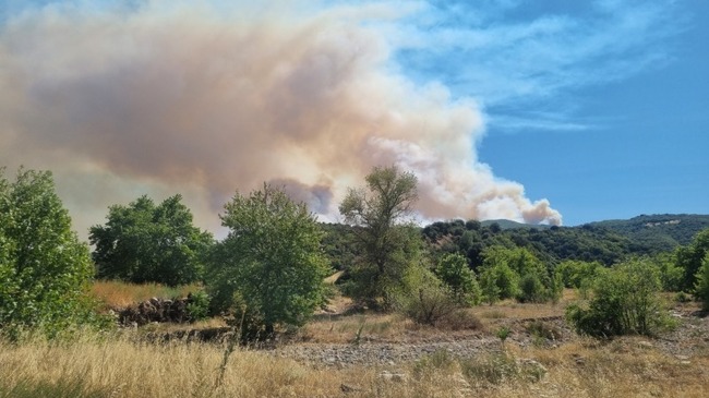 МО: 30 военнослужещи от Сухопътните войски се включват в гасенето на пожара в Община Струмяни