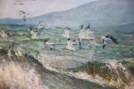 Бургас - „Претворения" - изложба