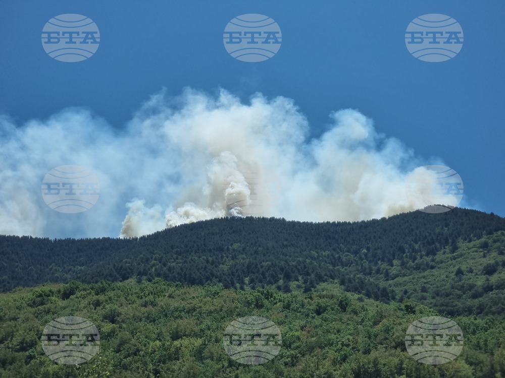 Славянка - пожар