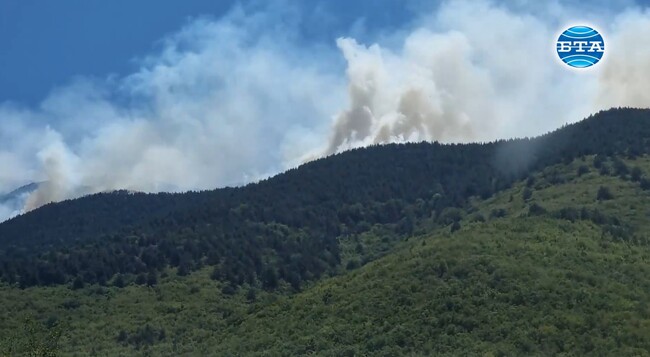 Имало е много сериозен гърмеж в т. нар. минно поле, това възпрепятства работата, каза главният секретар на МВР Димитър Кангалджиев за пожара в Славянка