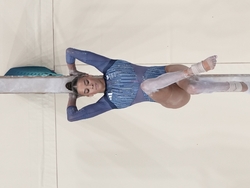 Paris Olympics Artistic Gymnastics