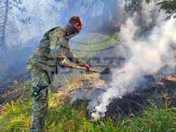Снимка: Министерство на отбраната