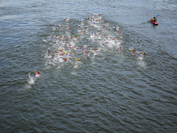 Paris Olympics Triathlon