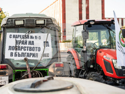 Снимка: Национална лозаро-винарска камара