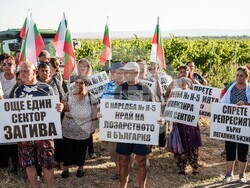 Снимка: Национална лозаро-винарска камара