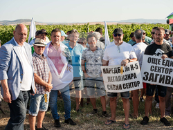 Снимка: Национална лозаро-винарска камара