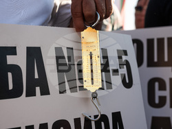 Снимка: Национална лозаро-винарска камара