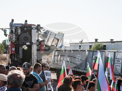 Снимка: Национална лозаро-винарска камара