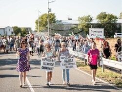 Снимка: Национална лозаро-винарска камара
