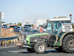 Снимка: Национална лозаро-винарска камара