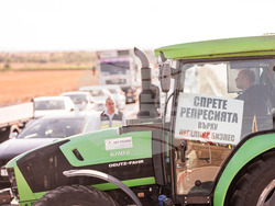 Снимка: Национална лозаро-винарска камара