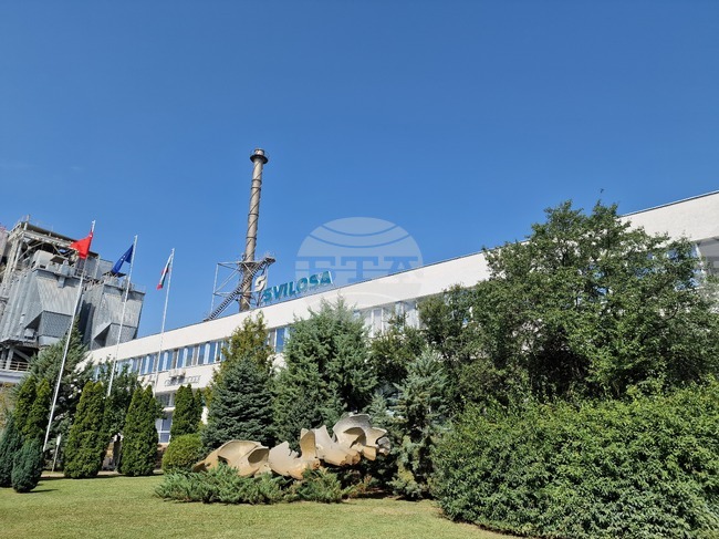 Инженер-химик, инженер по електрооборудване и оператор в производството са сред търсените специалисти в "Свилоцел" ЕАД в Свищов