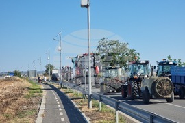 Поморие - винопроизводители и лозари - протест