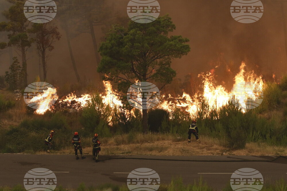 Хърватската полиция разследва предполагаем палеж след няколко горски пожара по адриатическото крайбрежие